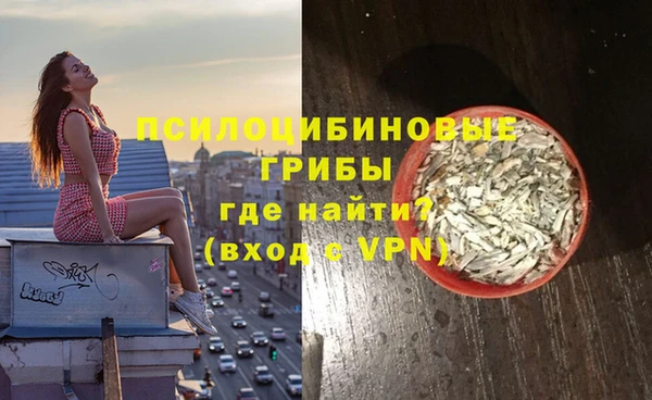 винт Алзамай