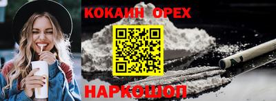 крисы Заводоуковск
