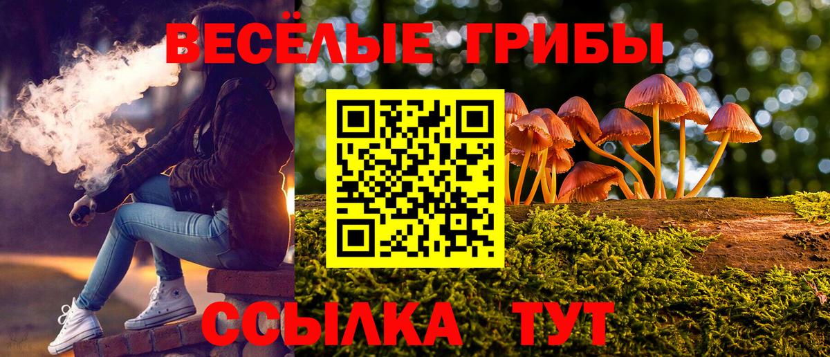 Татарск  где продают наркотики  Вход с VPN  Галлюциногенные грибы Psilocybine cubensis 